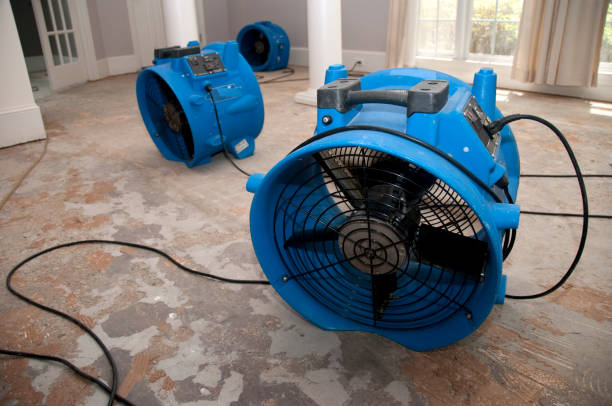 Best Carpet water damage restoration  in Westworth Village, TX