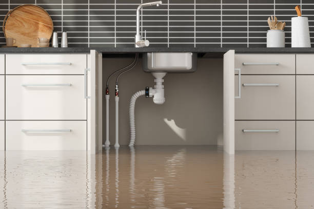Best Emergency water extraction  in Westworth Village, TX