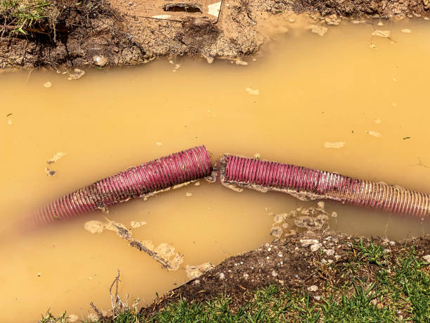 Best Water damage restoration near me  in Westworth Village, TX